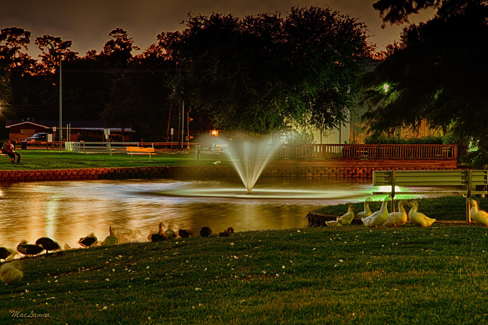 dornbos park. angela file 5